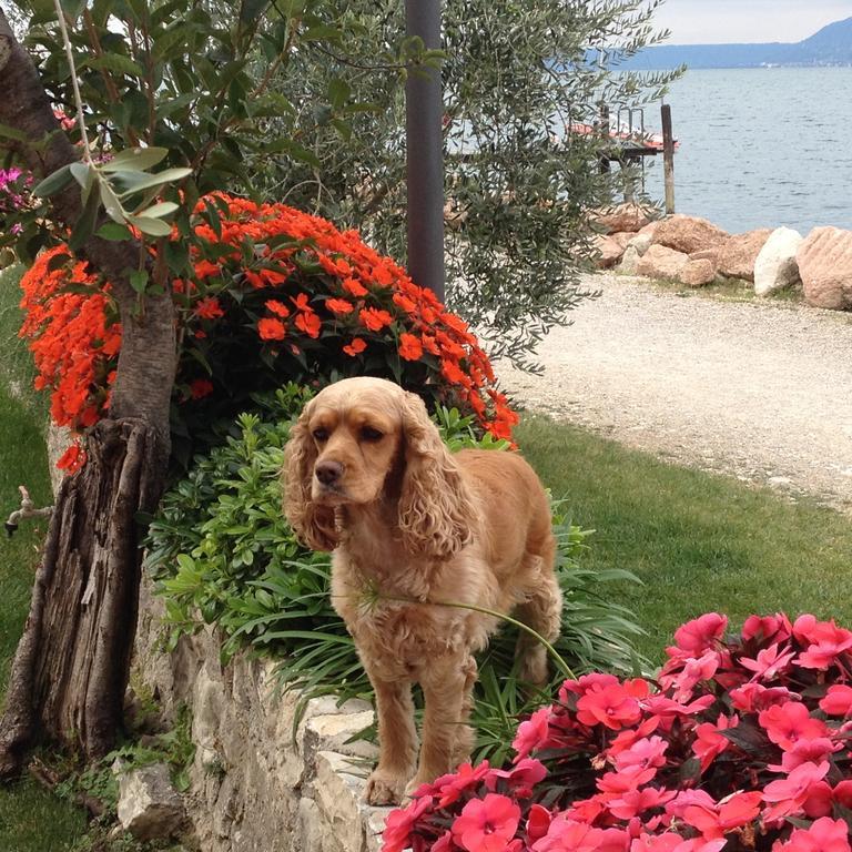 Locanda Fassa Brenzone sul Garda Bagian luar foto